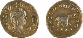 OTACILIA SEVERA
Antoninien
A/ Buste diadémé et lauré
R/ Hippopotame passant à droite
248 après J.-C.
Billon doré pour probablement imiter un auré...