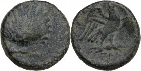 Greek Italy. Southern Apulia, Graxa. AE 15 mm, 250-210 BC. Obv. Cockle shell. Rev. Eagle right on thunderbolt, wings open; below, ΣΤΥ. HN Italy 773; H...