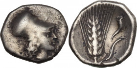 Greek Italy. Southern Lucania, Metapontum. AR Diobol, c. 325-275 BC. HN Italy -; Cf. HGC 1 1078; Johnston F21. AR. 1.25 g. 11.00 mm. R. About VF/VF.