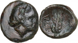 Greek Italy. Southern Lucania, Metapontum. AE 11 mm, 275-250 BC. HGC 1 1125; HN Italy 1695. AE. 1.30 g. 11.50 mm. About VF/VF.