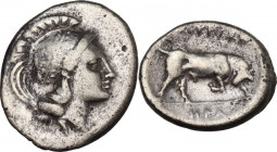 Greek Italy. Southern Lucania, Thurium. AR Diobol, c. 350-300 BC. HN Italy 1866; SNG ANS 1169. AR. 1.09 g. 12.00 mm. About VF.