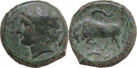 Sicily. Syracuse. Agathokles (c. 317-310 BC). AE 23 mm, c. 317-310 BC. HGC 2 1444; CNS II 96-97. AE. 9.83 g. 23.00 mm. Scarce. VF.