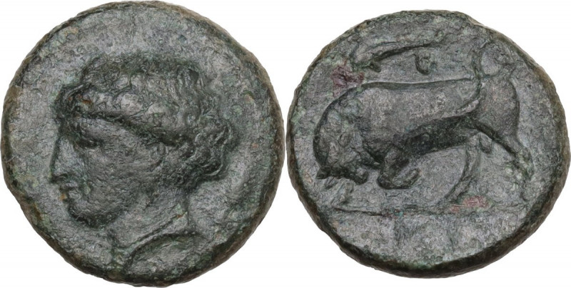 Sicily. Syracuse. Agathokles (317-289 BC). AE 17 mm, 317-289 BC. HGC 2 1489; CNS...