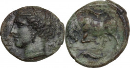 Sicily. Syracuse. Hieron II (274-215 BC). AE 22 mm. CNS II 190. AE. 5.98 g. 22.00 mm. Olive green patina. VF.