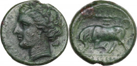 Sicily. Syracuse. Hieron II (274-215 BC). AE 20 mm, c. 275-269/5 BC. HGC 2 1469; CNS II 191. AE. 6.41 g. 20.00 mm. Good VF.