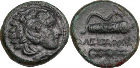 Continental Greece. Kings of Macedon. Alexander III 'the Great' (336-323 BC). AE 19 mm, uncertain mint. Price 326. AE. 6.44 g. 19.00 mm. Dark green pa...