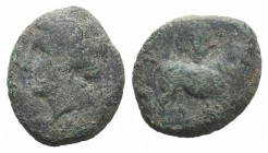 Campania, Cales(?), c. 265-240 BC. Æ (17mm, 4.36g, 9h). Laureate head of Apollo l.; branch behind. R/ Man-headed bull standing r., head facing; lyre a...