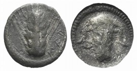 Southern Lucania, Metapontion, c. 470-440 BC. AR Triobol (11mm, 1.08g, 6h). Barley ear. R/ Incuse bucranium. HNItaly 1487. Good Fine