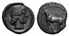 Sicily, Segesta, c. 480-410 BC. AR Didrachm (20mm, 6.98g, 9h). Hound standing l. R/ Head of nymph Segesta r. SNG Copenhagen 575; SNG ANS 621. Dark pat...