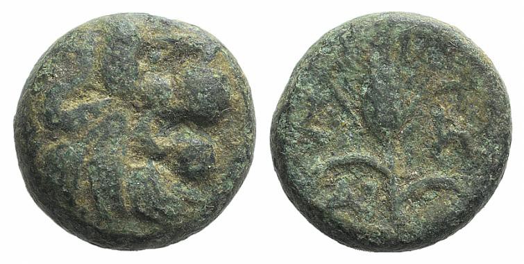 Thrace, Lysimacheia, c. 309-220 BC. Æ (12mm, 3.65g, 1h). Head of lion r. R/ Grai...