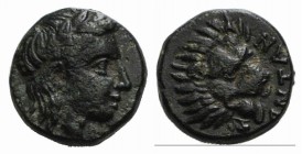 Troas, Antandros, c. 4th-3rd centuries BC. Æ (10mm, 1.82g, 1h). Laureate head of Apollo r. R/ Head of a roaring lion r.; grape bunch below. SNG Copenh...