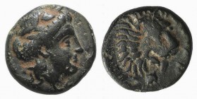 Troas, Antandros, c. 4th-3rd centuries BC. Æ (10mm, 1.63g, 1h). Laureate head of Apollo r. R/ Head of a roaring lion r.; grape bunch below. SNG Copenh...