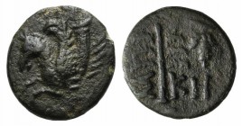 Troas, Skepsis, c. 400-310 BC. Æ (11.5mm, 1.34g, 12h). Forepart of Pegasos l. R/ Fir tree; grape bunch to r. SNG Copenhagen 484-5 var. (symbol). Green...