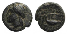 Ionia, Klazomenai, c. 380-360 BC. Æ (9mm, 1.22g, 12h). Laureate head of Apollo l. R/ Swan standing l., wings spread; astralagos below. Lindgren & Kova...