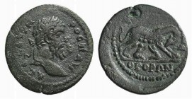 Septimius Severus (193-211). Uncertain mint. Æ (22mm, 5.25g, 6h). A CE CEOYHPOC Π AVΓ, Laureate head r. R/ […]EOKOPΩN, She-wolf r., suckling the twins...