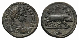 Caracalla (198-217). Mysia, Parium. Æ (23mm, 7.50g, 7h). Laureate, draped and cuirassed bust r. R/ She-wolf r., suckling twins Remus and Romulus. SNG ...