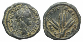 Severus Alexander (222-235). Cappadocia, Caesarea. Æ (22mm, 6.55g, 12h), year 6 (226/7). Laureate head r. R/ Three corn-ears. RPC VI online 6831 (temp...