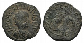 Gallienus (253-268). Pisidia, Antioch. Æ (28mm, 8.74g, 6h). Radiate and cuirassed bust r. R/ She-wolf standing r., suckling the twins Remus and Romulu...