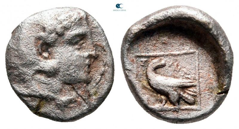 Kings of Macedon. Aigai. Amyntas III 393-369 BC. 
Diobol AR

10 mm, 1,25 g
...