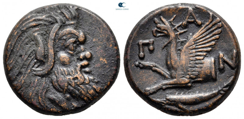 Cimmerian Bosporos. Pantikapaion circa 310-304 BC. 
Bronze Æ

18 mm, 6,36 g
...