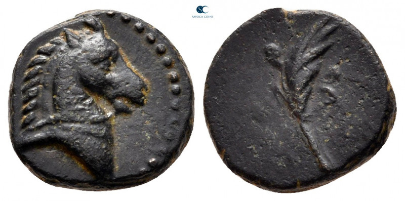 Pontos. Uncertain mint circa 130-100 BC. 
Bronze Æ

12 mm, 1,91 g

Head of ...