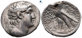 Seleukid Kingdom. Tyre. Antiochos VII Euergetes (Sidetes) 138-129 BC. Dated SE 177 = 136-135 BC. Tetradrachm AR