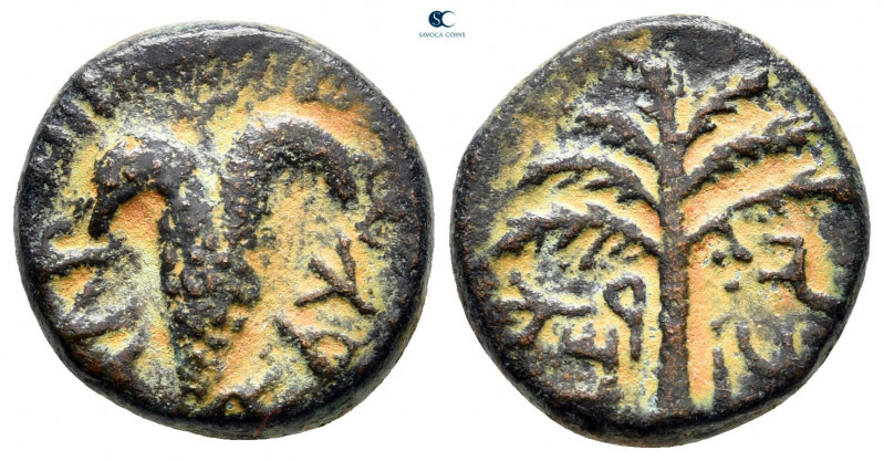 Judaea. Jerusalem. Bar Kochba Revolt CE 132-135. Dated Year 3 = CE 134/135
Bron...