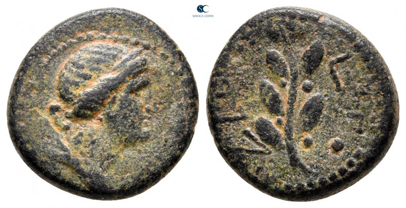 Seleucis and Pieria. Antioch. Pseudo-autonomous issue AD 68-69. 
Bronze Æ

13...