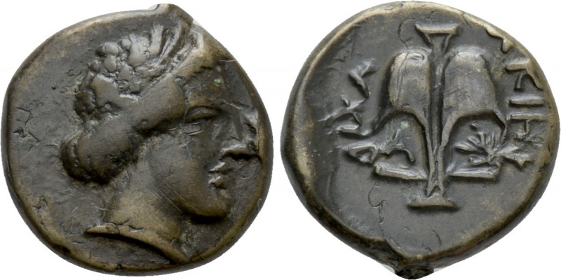 THRACE. Apollonia Pontika. Ae (Mid 4th-3rd centuries BC). 

Obv: Laureate head...