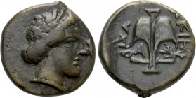 THRACE. Apollonia Pontika. Ae (Mid 4th-3rd centuries BC)