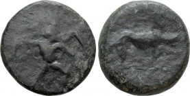CRETE. Phaistos. Ae (Circa 350-300 BC)
