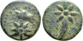 PONTOS. Uncertain, possibly Amisos. Ae. Struck under Mithradates VI (Circa 119-100 BC)