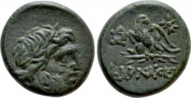 PONTOS. Pharnakeia. Struck under Mithridates VI Eupator (Circa 95-90 or 80-70 BC). Ae