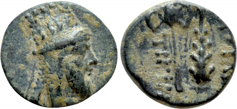 KINGS OF ARMENIA. Tigranes VI (First reign, 60-62). Ae Dichalkon. 

Obv: Diade...