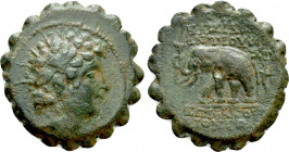 SELEUKID KINGDOM. Antiochos VI Dionysos (144-142 BC). Serrate Ae. Antioch on the Orontes