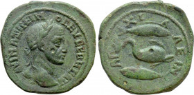 THRACE. Anchialus. Maximinus I Thrax (235-238). Ae