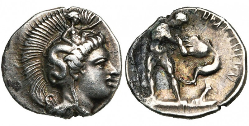LUCANIE, HERACLEE, AR diobole, 350-300 av. J.-C. D/ T. casquée d''Athéna à d., l...