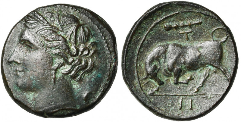 SICILE, SYRACUSE, Agathoclès (317-289), AE bronze, vers 310-304 av. J.-C. D/ T. ...