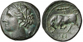 SICILE, SYRACUSE, Agathoclès (317-289), AE bronze, vers 310-304 av. J.-C. D/ T. de Perséphone, cour. d''épis, à g. R/ Taureau chargeant à g. Au-dessus...