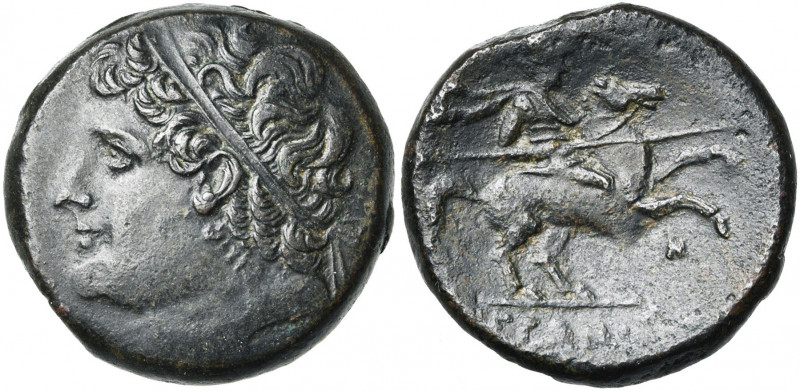 SICILE, SYRACUSE, Hiéron II (275-216), AE bronze. D/ T. diad. d''Hiéron à g. R/ ...