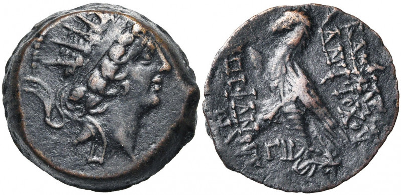 ROYAUME SELEUCIDE, Antiochos VIII Grypous, 1er règne (121-114), AE bronze, Antio...