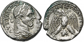 SYRIE, EMISA, Macrin (217-218), AR tétradrachme. D/ AYT K M OΠ CE MAKPINOC C-E·B· T. l. à d. R/ ΔHMAP-X EΞ VΠATOC IΠ Aigle de f., t. à g., ten. une co...