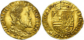 VLAANDEREN, Graafschap, Philips II (1555-1598), AV halve gouden reaal, z.j., Brugge. Vz/ Bb. r. Kz/ PHS D G HISPANIARV REX CO FL Gekroond wapenschild....