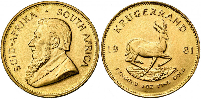 AFRIQUE DU SUD, République (1960-), AV Krugerrand, 1981.
Superbe