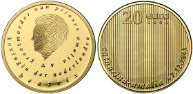 NEDERLAND, Koninkrijk, Beatrix (1980-2014), AV 20 euro, 2004. Geboorte van Catharina-Amalia. 8,50g In doosje.
Gepolijste Stempel