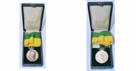 SUEDE, lot de 2 médailles en argent pour longs et fidèles services de la Société royale patriotique: l’une à l’effigie d’Oscar II (1872-1907) gravée p...
