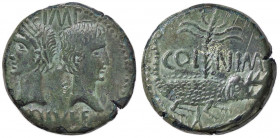 ROMANE PROVINCIALI - Agrippa e Augusto - Dupondio (Nimes) C. 7 (AE g. 13,3) Bella patina verde smeraldo - Ex asta Hunt del 20/06/1991, lotto 680
BB+...