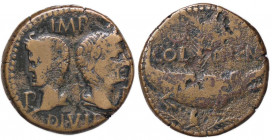 ROMANE PROVINCIALI - Agrippa e Augusto - Dupondio (Nimes) C. 10 (AE g. 12,06)
MB