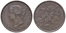 ESTERE - CANADA-NOVA SCOTIA - Vittoria (1837-1901) - Token 1856 Kr. 5 CU da 1/2 penny
bel BB

da 1/2 penny -
