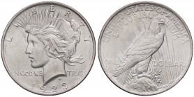 ESTERE - U.S.A. - Dollaro 1923 - Pace Kr. 150 AG
qFDC